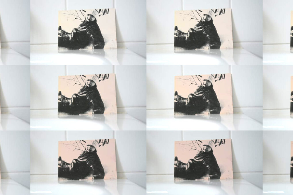 Michaela Davidová (CZ)